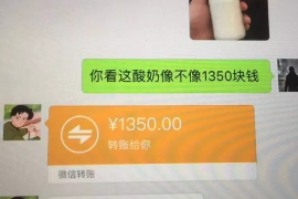 拉萨专业讨债公司，追讨消失的老赖